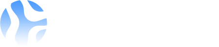 Web Digital Agency